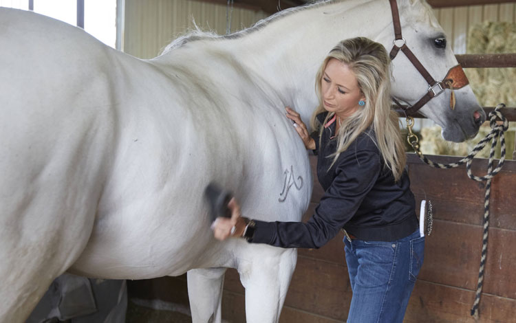 Shali Lord standing next to her horse brushing it.